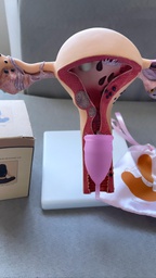 GLOW GETTER MENSTRUAL CUP