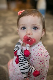 [AC156-P6] DR. BROWN'S LOVEY PACIFIER AND TEETHER HOLDER