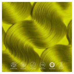 PARADYES LOCAL LIME