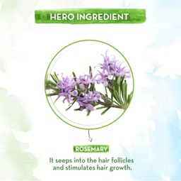MAMAEARTH ROSEMARY ESSENTIAL OIL FOR HAIR GROWTH - 15 ML