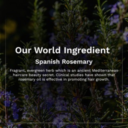 PILGRIM SPANISH ROSEMARY &BIOTIN ANTI-HAIRFALL CONDITIONER- 200ML