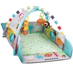 PEEKABOO PLAY GYM