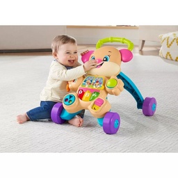FISHER PRICE LAUGH & LEARN SMART STAGES LEARN WITH SIS TOY