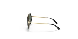 VOGUE SUNGLASS 0VO4224S-280/71-55