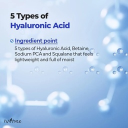 ISNTREE HYALURONIC ACID AQUA GEL CREAM 100ML