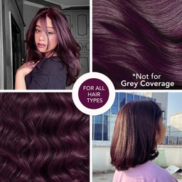 PARADYES VELVET BURGUNDY GLOSSY HAIR TINT - 210G