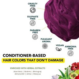 PARADYES BEKARAAR BURGUNDY SEMI-PERMANENT HAIR COLOR - 120G