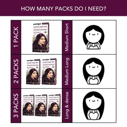 PARADYES VELVET BURGUNDY GLOSSY HAIR TINT - 210G